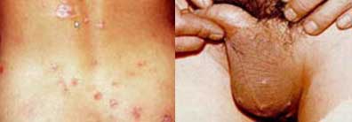 �괯�Ĳ���